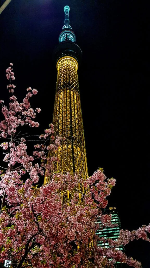 SKYTREE