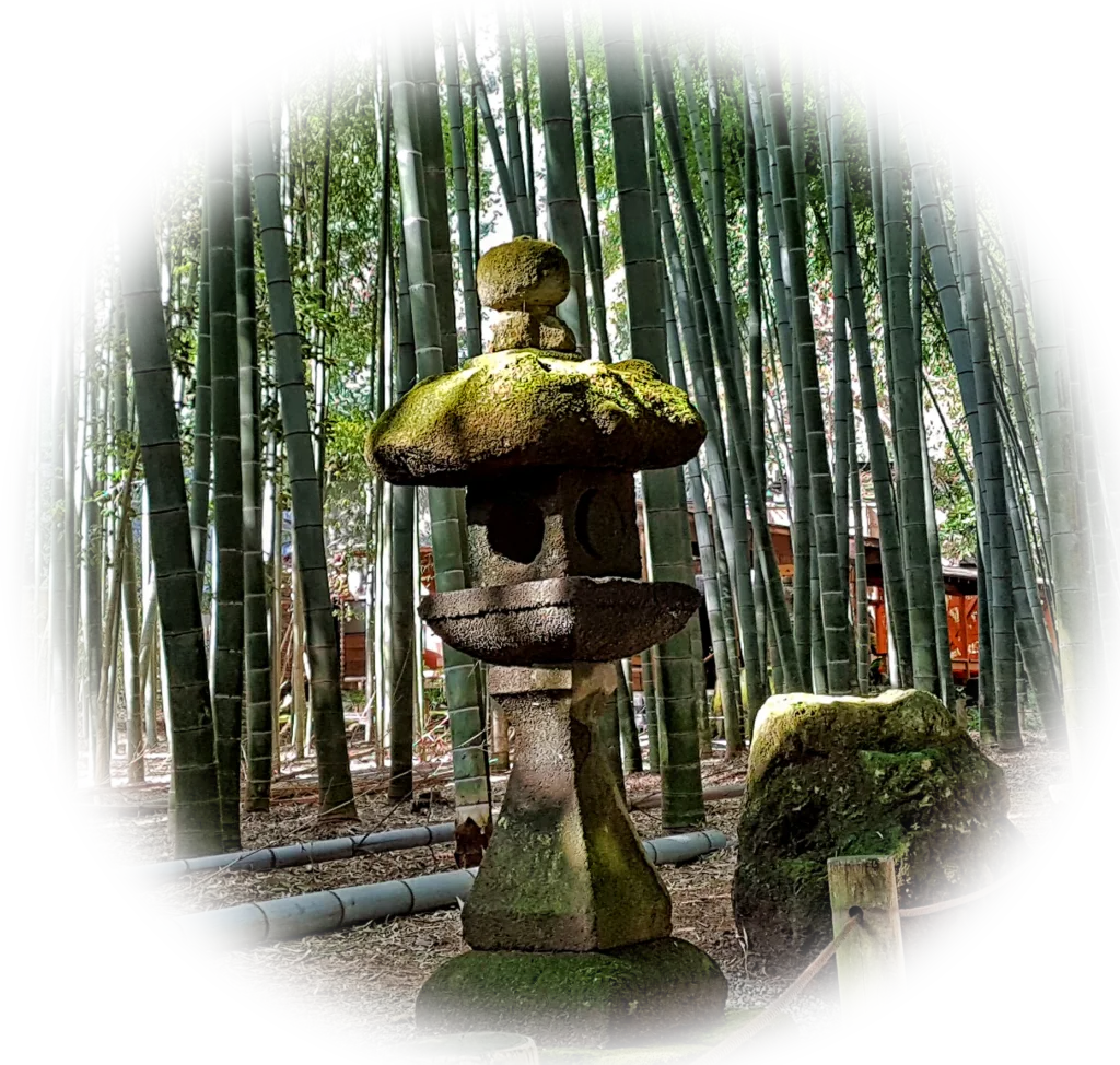 bosque bambu