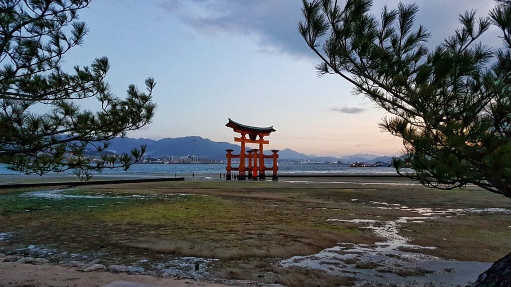 AMANECER TORII MIYAJIMA