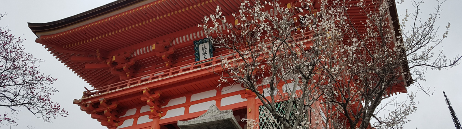 detalle templo japones  y cerezo